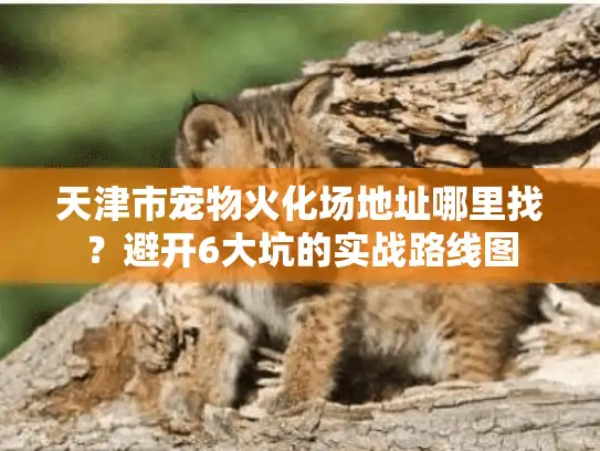 天津市宠物火化场地址哪里找？避开6大坑的实战路线图