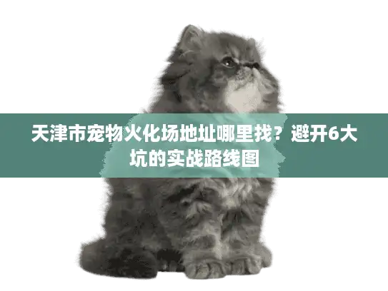 天津市宠物火化场地址哪里找？避开6大坑的实战路线图