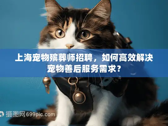 上海宠物殡葬师招聘，如何高效解决宠物善后服务需求？