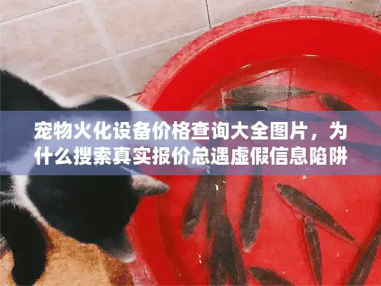 宠物火化设备价格查询大全图片，为什么搜索真实报价总遇虚假信息陷阱？