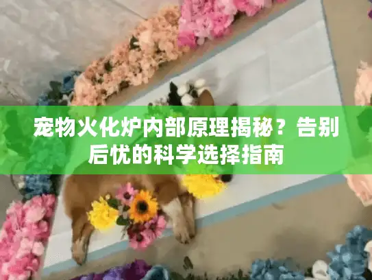 宠物火化炉内部原理揭秘？告别后忧的科学选择指南