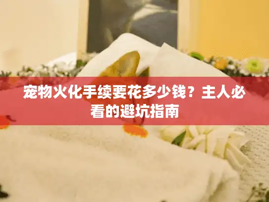 宠物火化手续要花多少钱？主人必看的避坑指南