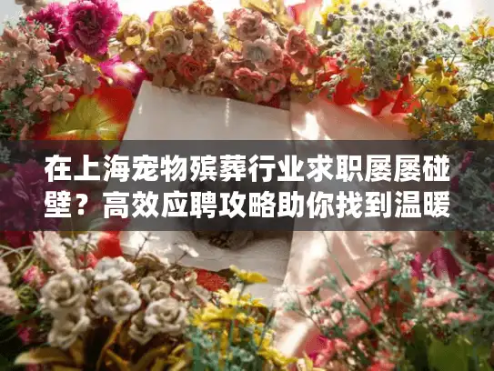 在上海宠物殡葬行业求职屡屡碰壁？高效应聘攻略助你找到温暖事业岗位