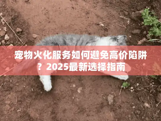 宠物火化服务如何避免高价陷阱？2025最新选择指南