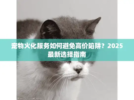宠物火化服务如何避免高价陷阱？2025最新选择指南
