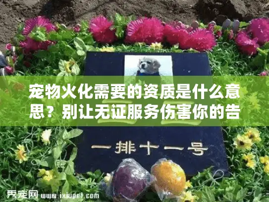 宠物火化需要的资质是什么意思？别让无证服务伤害你的告别时刻