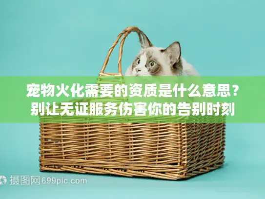 宠物火化需要的资质是什么意思？别让无证服务伤害你的告别时刻