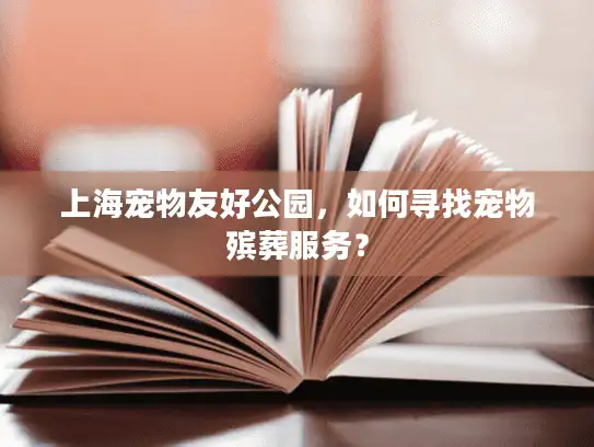 上海宠物友好公园，如何寻找宠物殡葬服务？