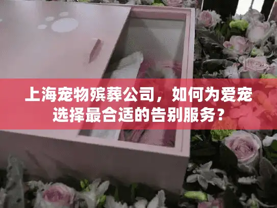 上海宠物殡葬公司，如何为爱宠选择最合适的告别服务？