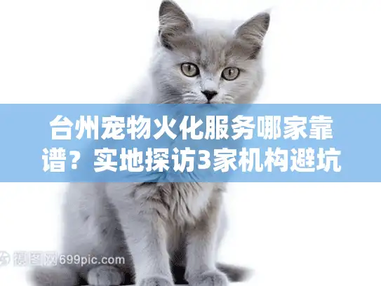 台州宠物火化服务哪家靠谱？实地探访3家机构避坑指南