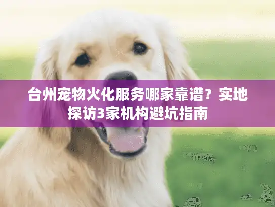 台州宠物火化服务哪家靠谱？实地探访3家机构避坑指南