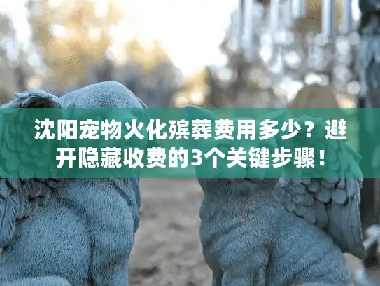 沈阳宠物火化殡葬费用多少？避开隐藏收费的3个关键步骤！