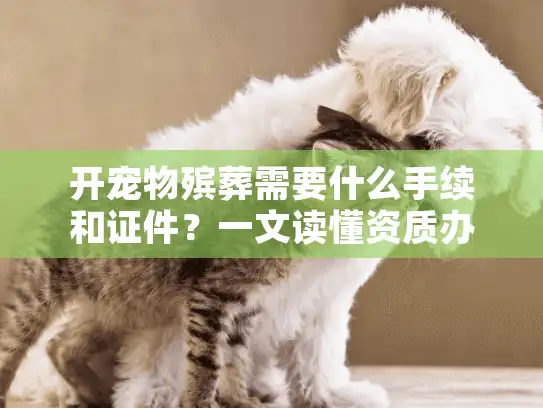 开宠物殡葬需要什么手续和证件？一文读懂资质办理全流程