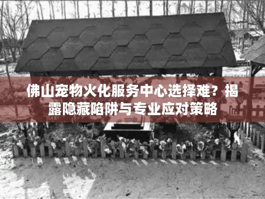 佛山宠物火化服务中心选择难？揭露隐藏陷阱与专业应对策略