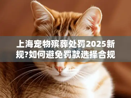 上海宠物殡葬处罚2025新规?如何避免罚款选择合规服务