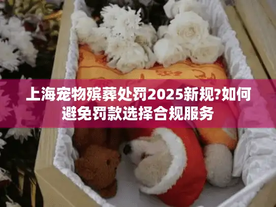 上海宠物殡葬处罚2025新规?如何避免罚款选择合规服务