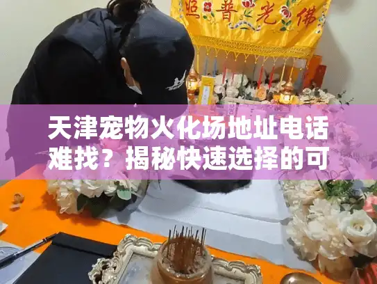天津宠物火化场地址电话难找？揭秘快速选择的可靠路径
