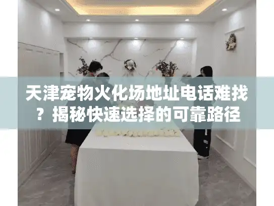 天津宠物火化场地址电话难找？揭秘快速选择的可靠路径
