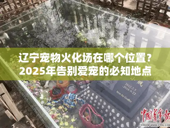 辽宁宠物火化场在哪个位置？2025年告别爱宠的必知地点