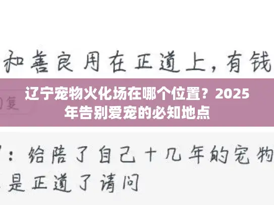 辽宁宠物火化场在哪个位置？2025年告别爱宠的必知地点