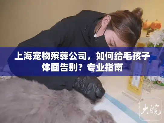 上海宠物殡葬公司，如何给毛孩子体面告别？专业指南