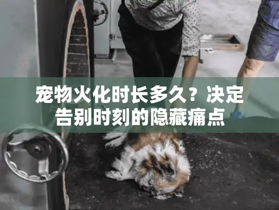 宠物火化时长多久？决定告别时刻的隐藏痛点