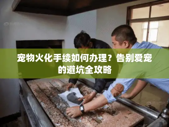 宠物火化手续如何办理？告别爱宠的避坑全攻略