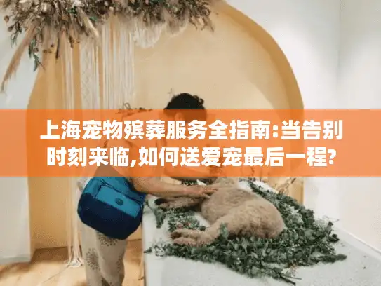 上海宠物殡葬服务全指南:当告别时刻来临,如何送爱宠最后一程?