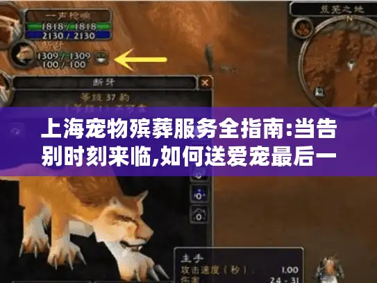 上海宠物殡葬服务全指南:当告别时刻来临,如何送爱宠最后一程?