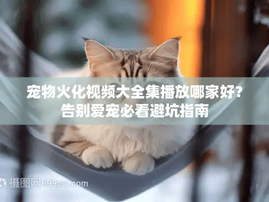 宠物火化视频大全集播放哪家好？告别爱宠必看避坑指南