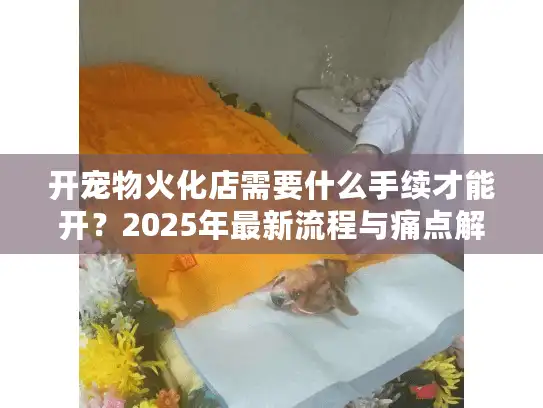 开宠物火化店需要什么手续才能开？2025年最新流程与痛点解析