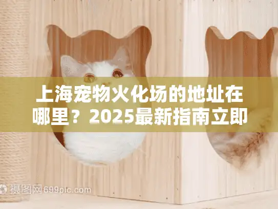 上海宠物火化场的地址在哪里？2025最新指南立即获取