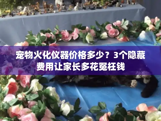 宠物火化仪器价格多少？3个隐藏费用让家长多花冤枉钱