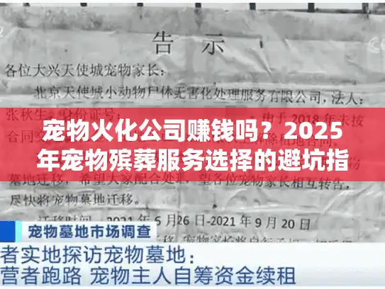 宠物火化公司赚钱吗？2025年宠物殡葬服务选择的避坑指南