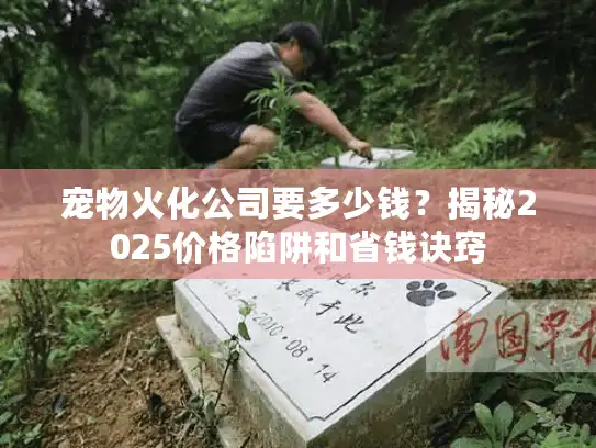 宠物火化公司要多少钱？揭秘2025价格陷阱和省钱诀窍