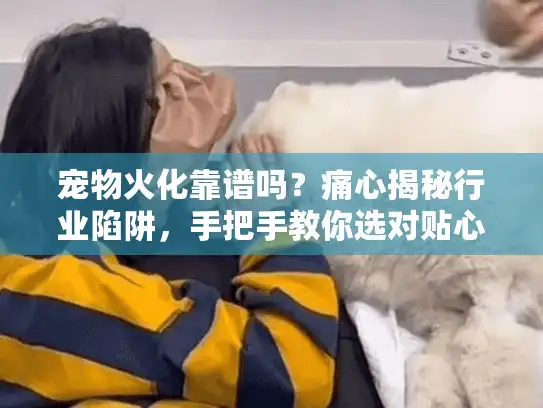 宠物火化靠谱吗？痛心揭秘行业陷阱，手把手教你选对贴心殡葬服务