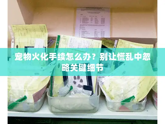 宠物火化手续怎么办？别让慌乱中忽略关键细节