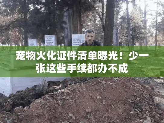 宠物火化证件清单曝光！少一张这些手续都办不成