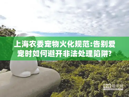 上海农委宠物火化规范:告别爱宠时如何避开非法处理陷阱?