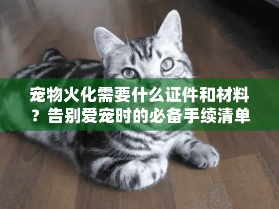 宠物火化需要什么证件和材料？告别爱宠时的必备手续清单