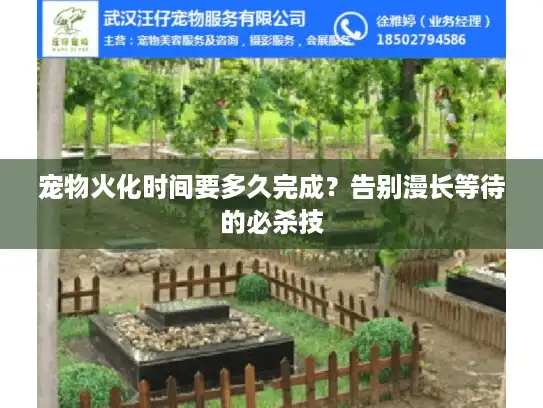 宠物火化时间要多久完成？告别漫长等待的必杀技
