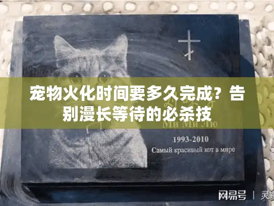 宠物火化时间要多久完成？告别漫长等待的必杀技