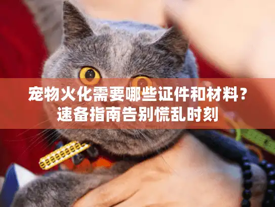 宠物火化需要哪些证件和材料？速备指南告别慌乱时刻