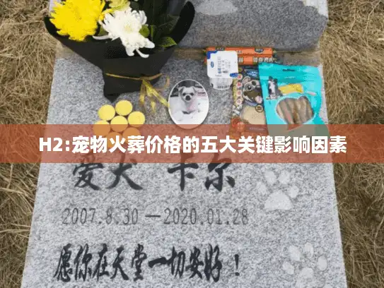 H2:宠物火葬价格的五大关键影响因素
