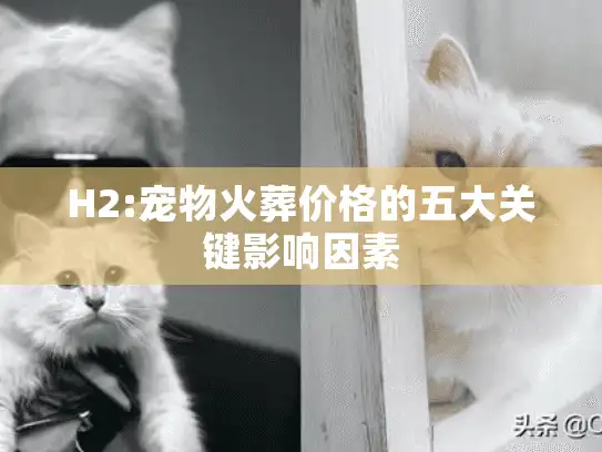 H2:宠物火葬价格的五大关键影响因素