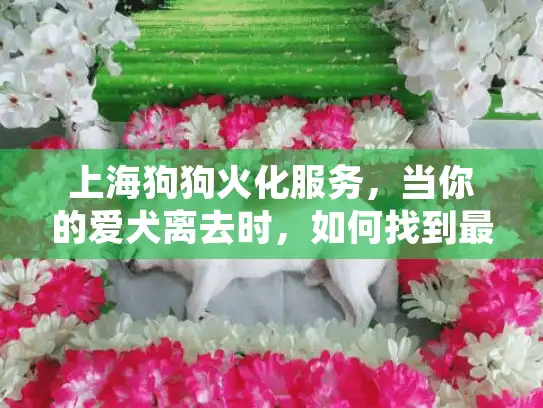 上海狗狗火化服务，当你的爱犬离去时，如何找到最安心的告别方式？