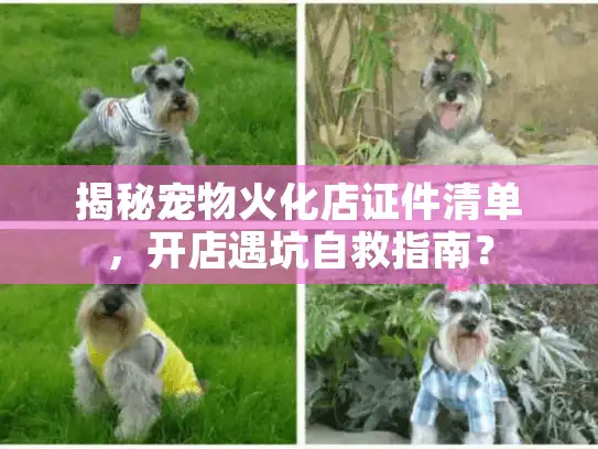 揭秘宠物火化店证件清单，开店遇坑自救指南？
