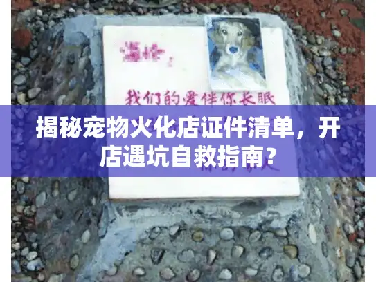 揭秘宠物火化店证件清单，开店遇坑自救指南？