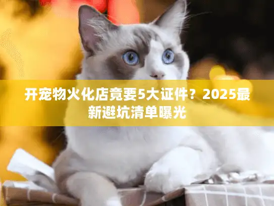 开宠物火化店竟要5大证件？2025最新避坑清单曝光