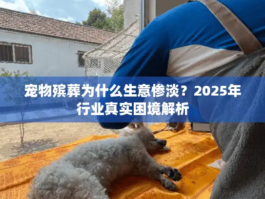 宠物殡葬为什么生意惨淡？2025年行业真实困境解析